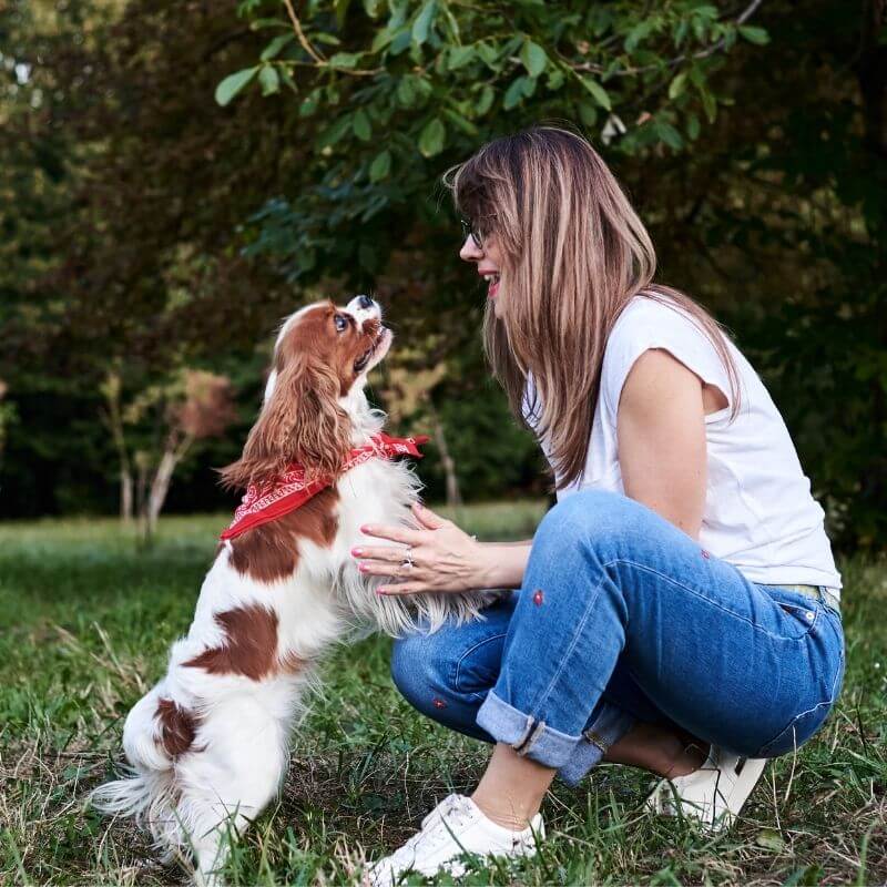 woman-and-spaniel-dog Veterinary Hospital in Topeka